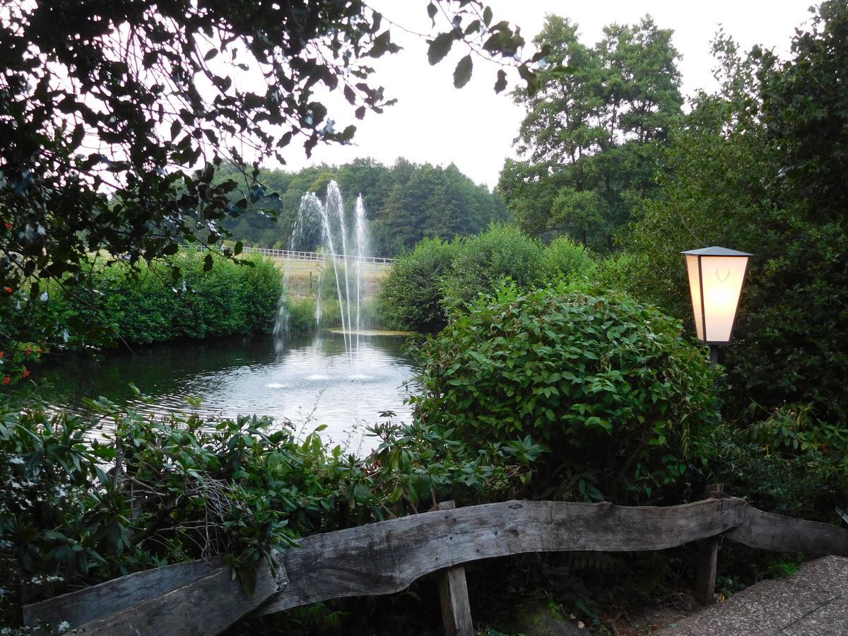 Bergmark Hotel Steinfeld (Lower Saxony)